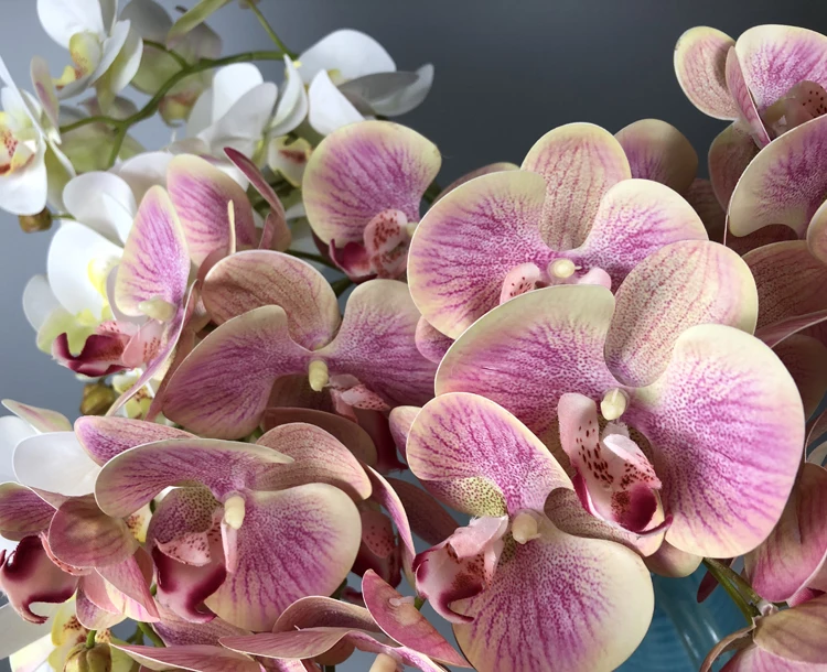 Hot Sale Real Touch Latex Artificial Phalaenopsis Orchid Flower