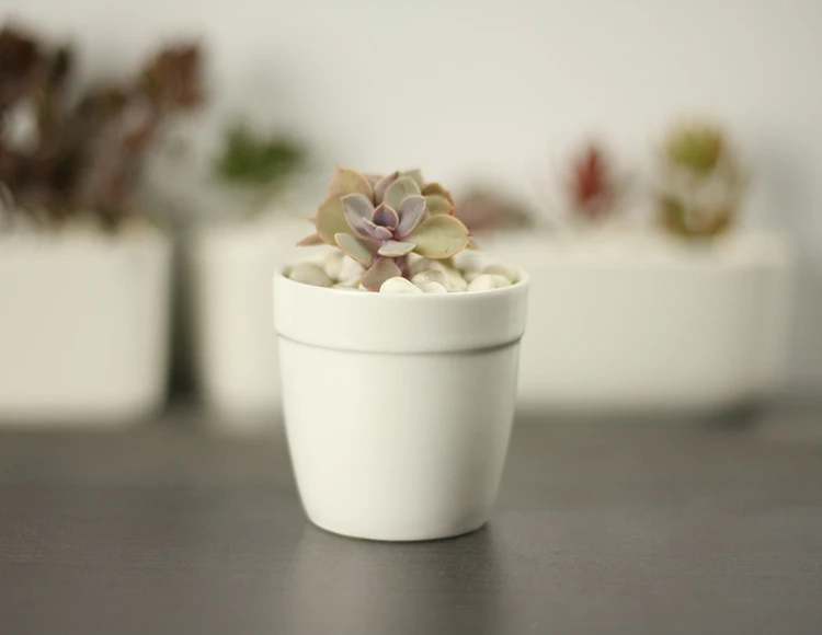 Windowsill Adornment Hexagon White Ceramic Indoor Pots For Succulent