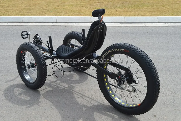 ZZMERCK full fat recumbent bike