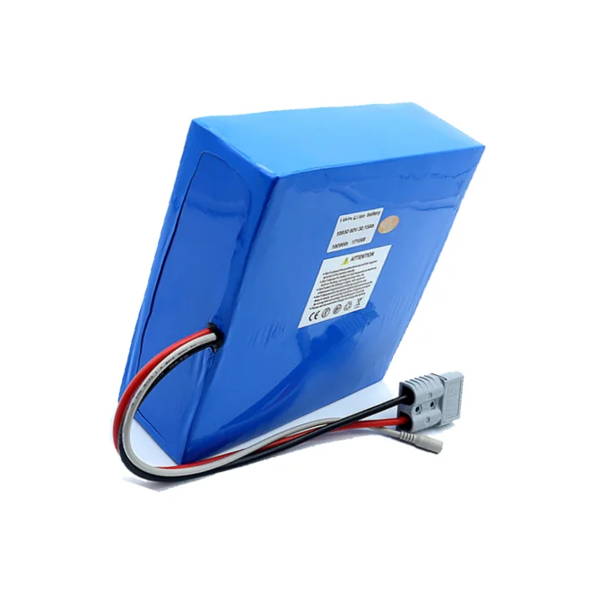 Full BMS Protection 60v 30ah 40ah 50ah lithium battery for electric scooter