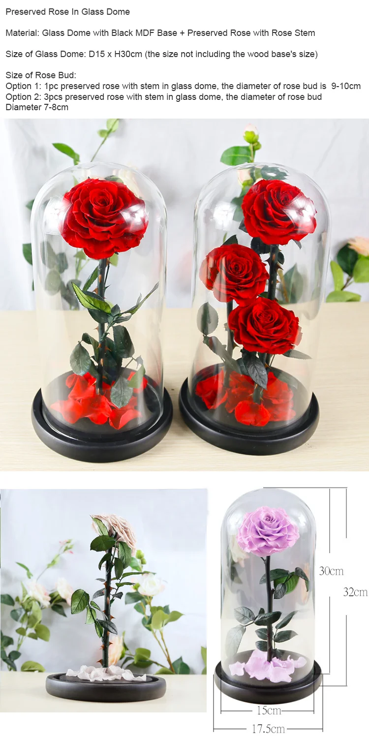 D910cm Preserved Rose In D15 X H30cm Glass Dome In Gift Box For
