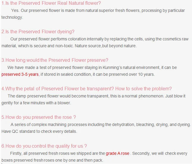 paste-pic-dp_uuid_vumrb