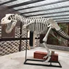 Fiberglass dinosaur model life size skeleton for sale
