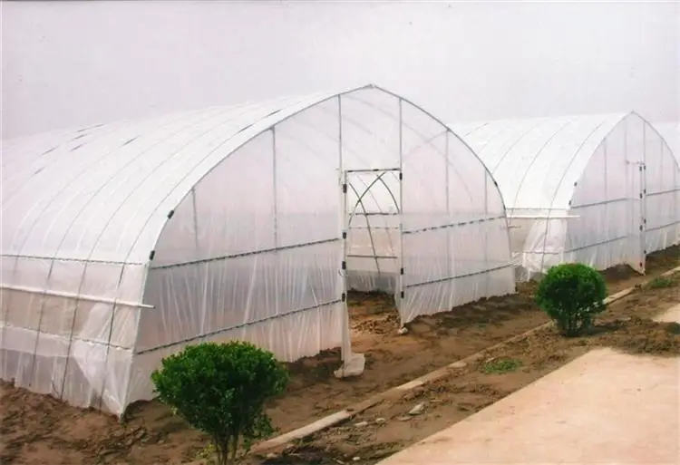 Galvanized Steel Frame Single Span Pe Film Greenhouse For Agriculture
