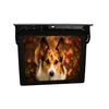 HQ170-4B-AN Android 17 inch Bus LCD Advertising Top Hanging video player Screen customized usb media with 3G function