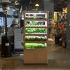 Urban Agriculture Hydroponics Farm Smart Greenhouse Strawberry Growing Systems Vertical Vegetable Planters