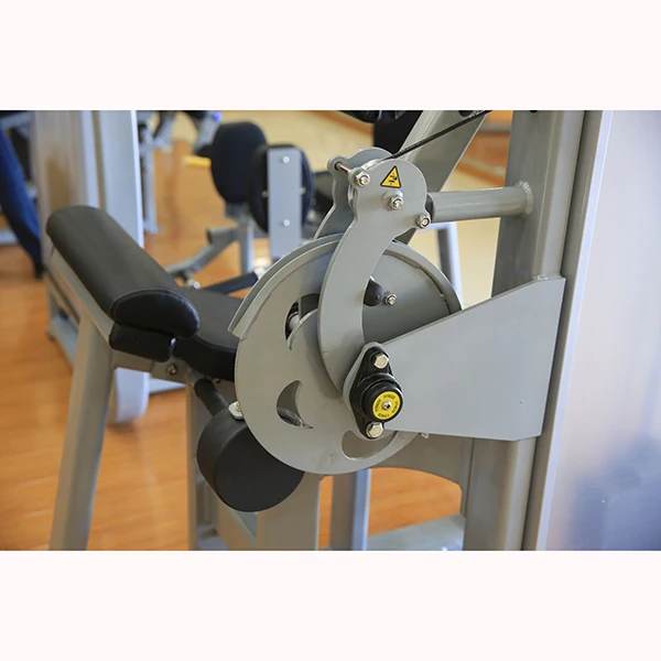 commercial indoor abdominal gym machine / professional v-crunch