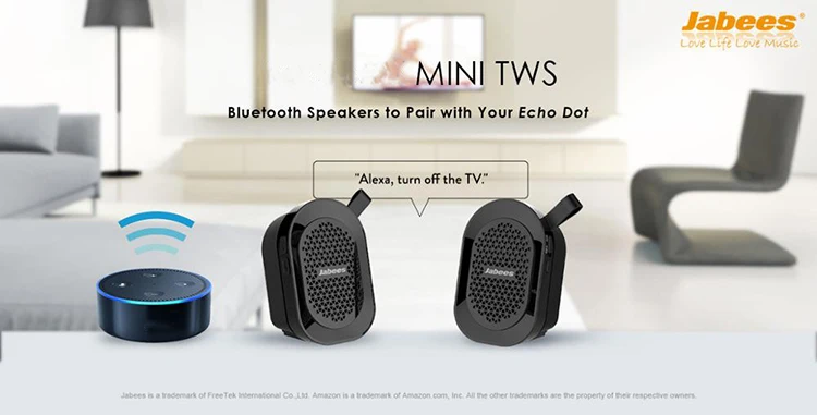 True Wireless Bluetooth Stereo Speakers To Pair with Your Echo Dot - ANKUX.COM
