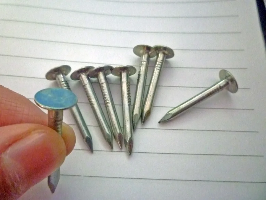 China Galvanized Big Head Clout Nails Large Head Nails Buy Clout
