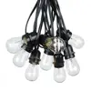 2018 new ul list Christmas holiday outdoor led festoon light belt string S14 37.5ft 25 sockets