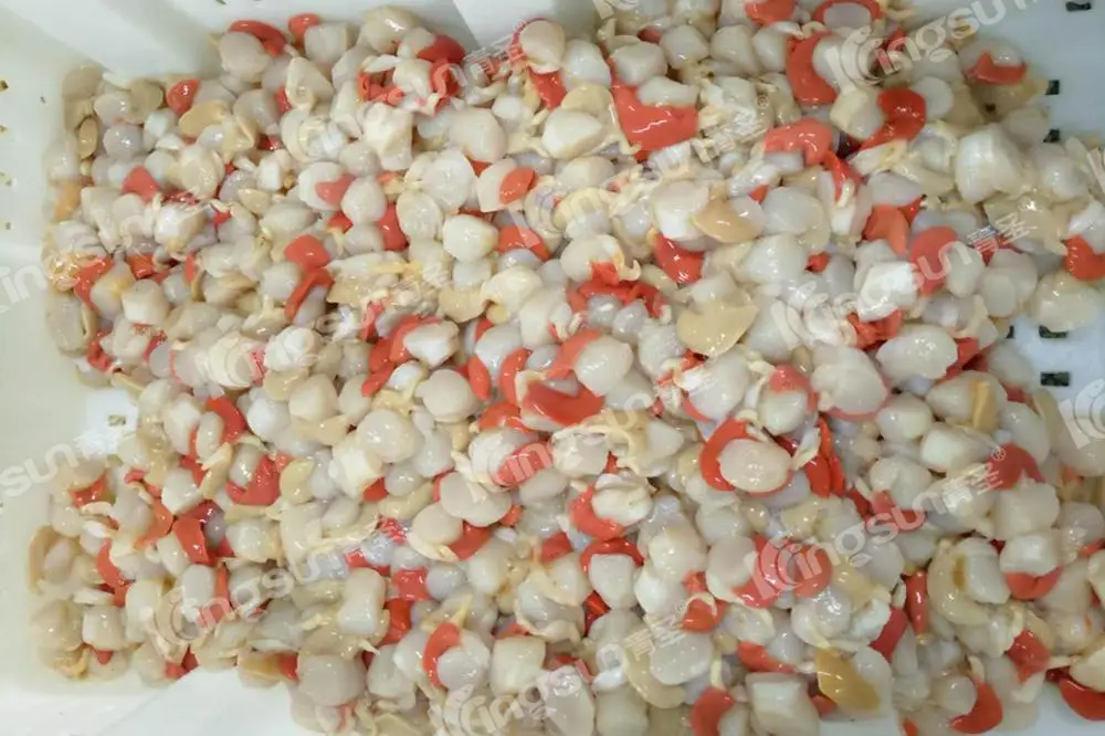 FARRERI SCALLOP-2.jpg