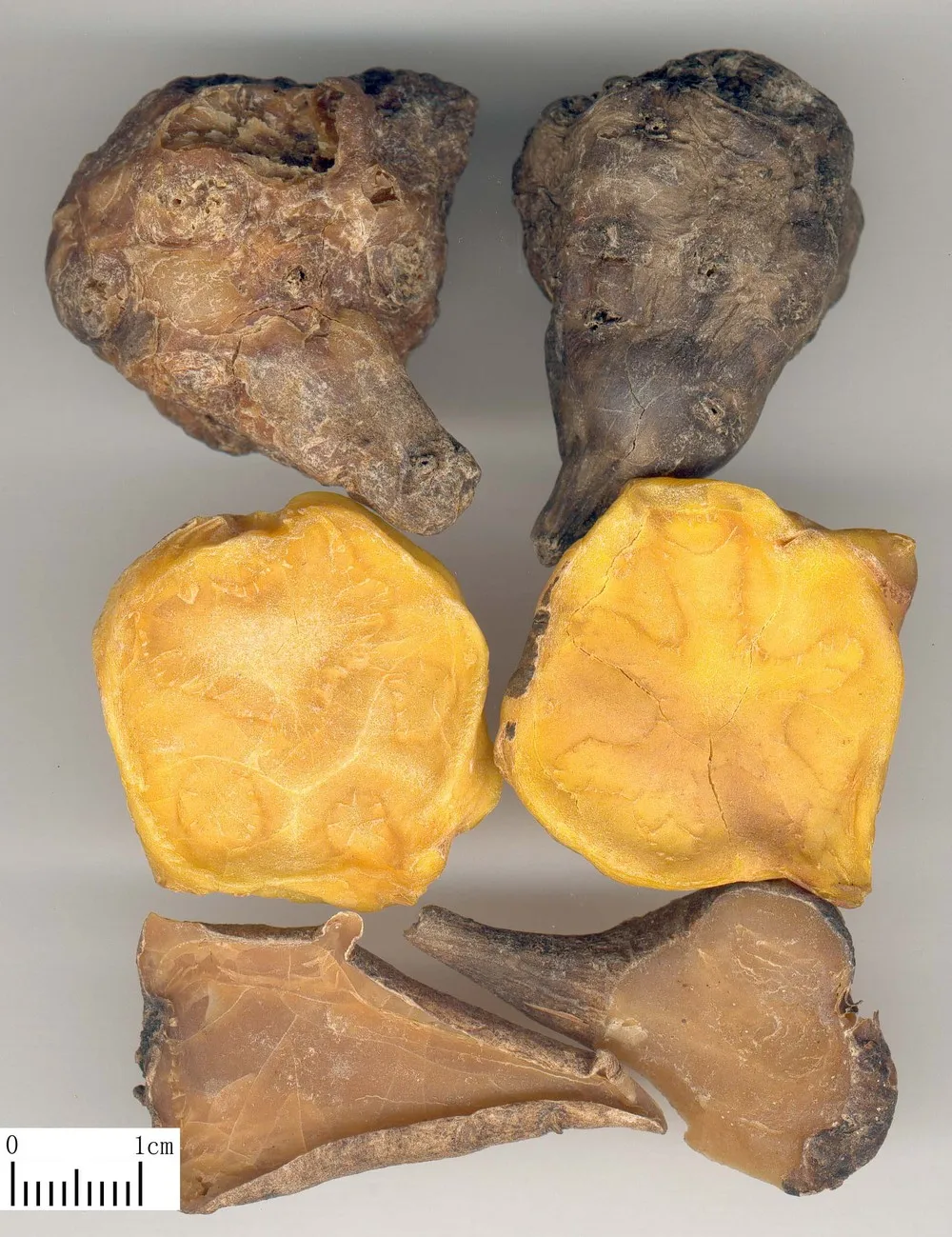 1.  lappaconite hydrobromide plant description