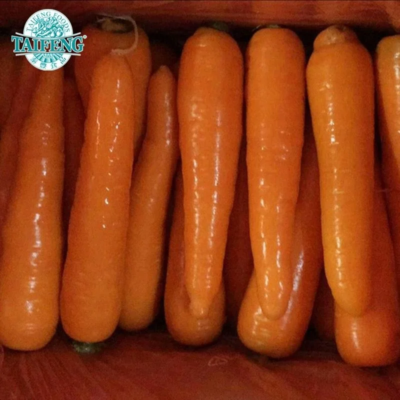  (1)