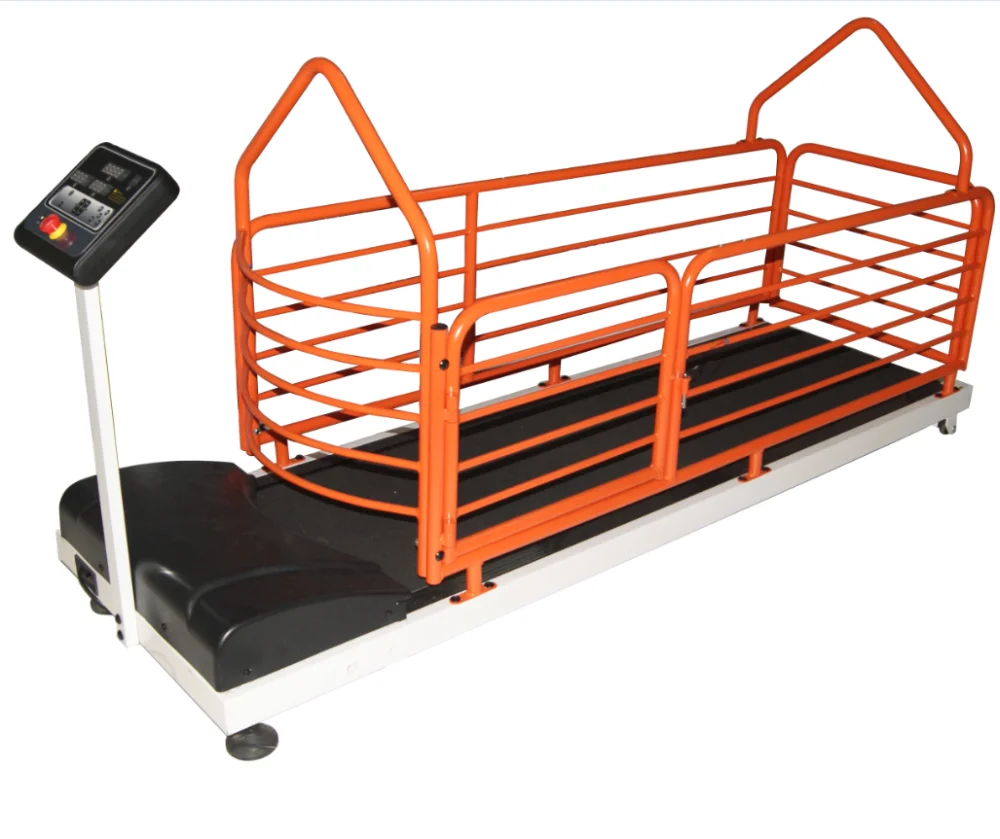 New Pet Treadmill Dog Treadmill Pet Walking Machine Buy Pet Treadmill