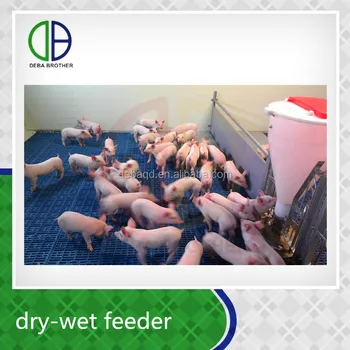 World Wide Used China Factory Dry Wet Feeder Hog Popular Design