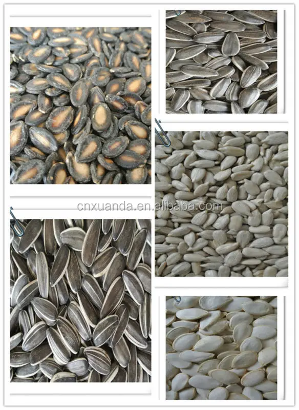 Hot Sale Cheap Price Hulled bakery confectionary Grade High Quality