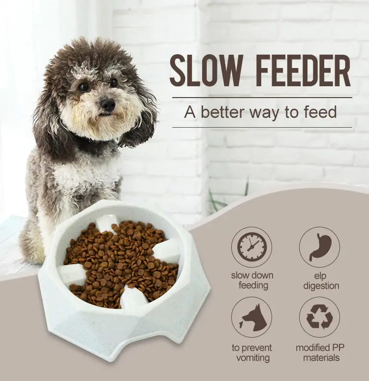 Speedypet Slow Feeder Dog Bowl/melamine Slow Feed Dog Bowl Buy Slow