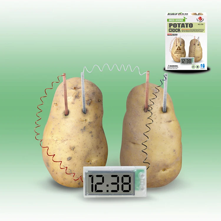 potato science kit