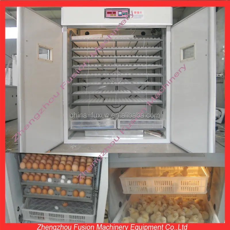 chinese incubator BackYard Chickens Learn How to Raise Chickens