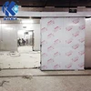 20 feet container cold room/cold storage/cold store(easy to move and install)