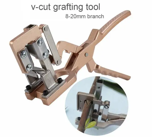 tree grafting tools.jpg