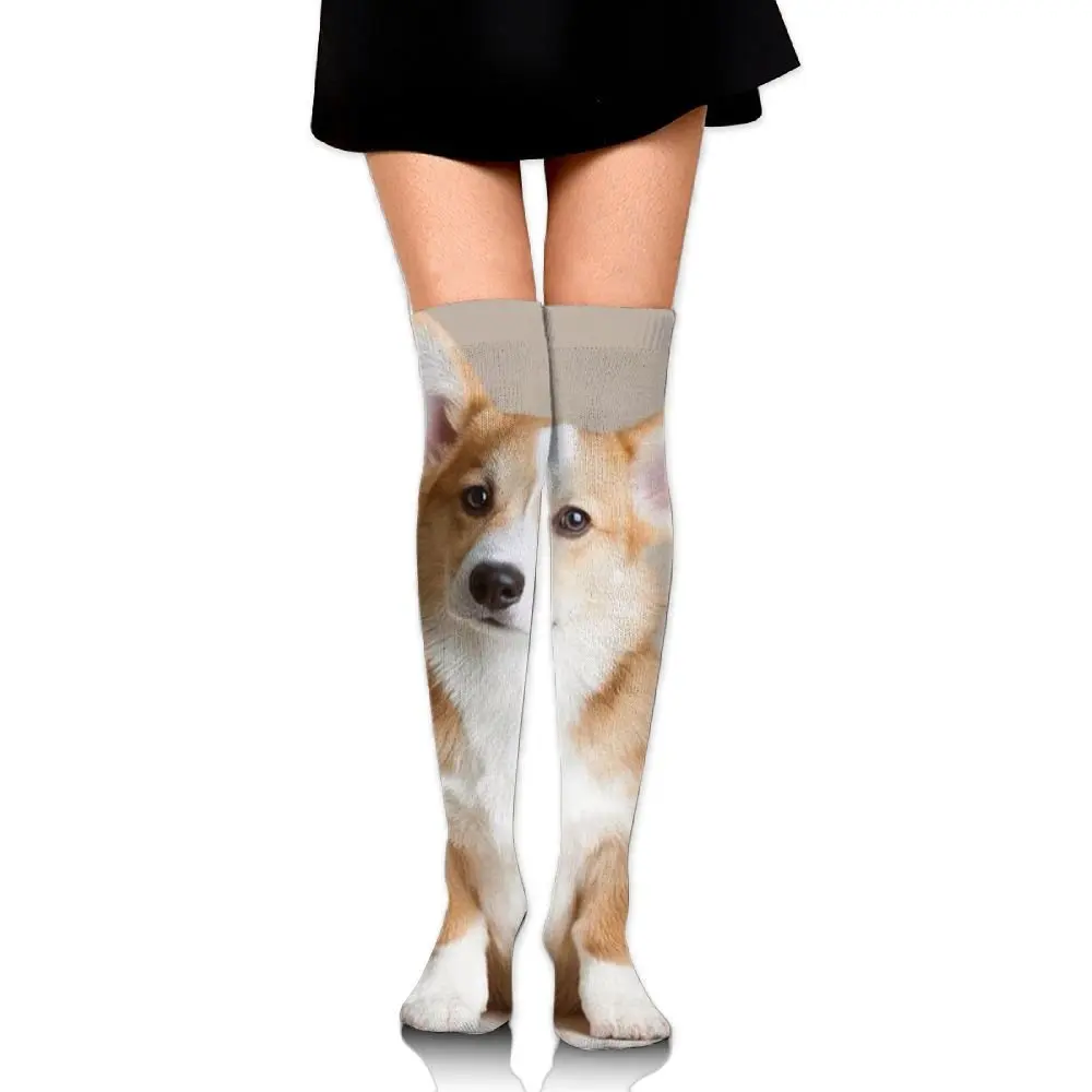 Mens athletic low cut Ankle sock Dog Corgi Animal Humor Short Fit Sock
