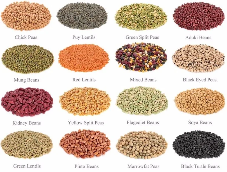 product pulses lentils green lentils eston large