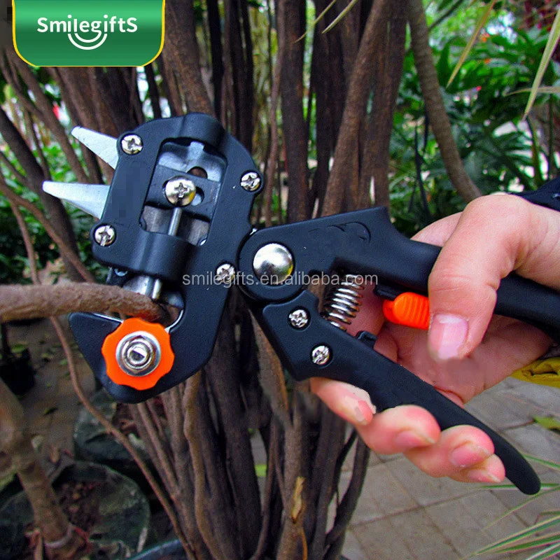 Garden Fruit Tree Pro Pruning Shears Scissors Grafting Cutting Tool & 2