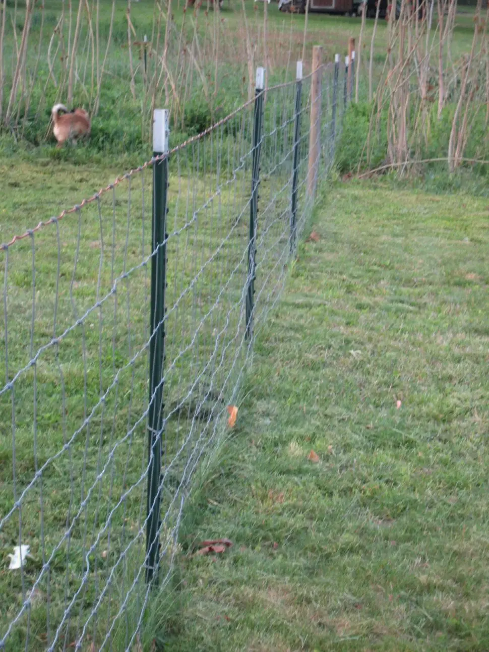 Tpost Wholesale Hot Dipped Galvanized Studded T Post Buy Hot Dipped