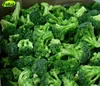 IQF Frozen Vegetable Broccoli Floret In Carton