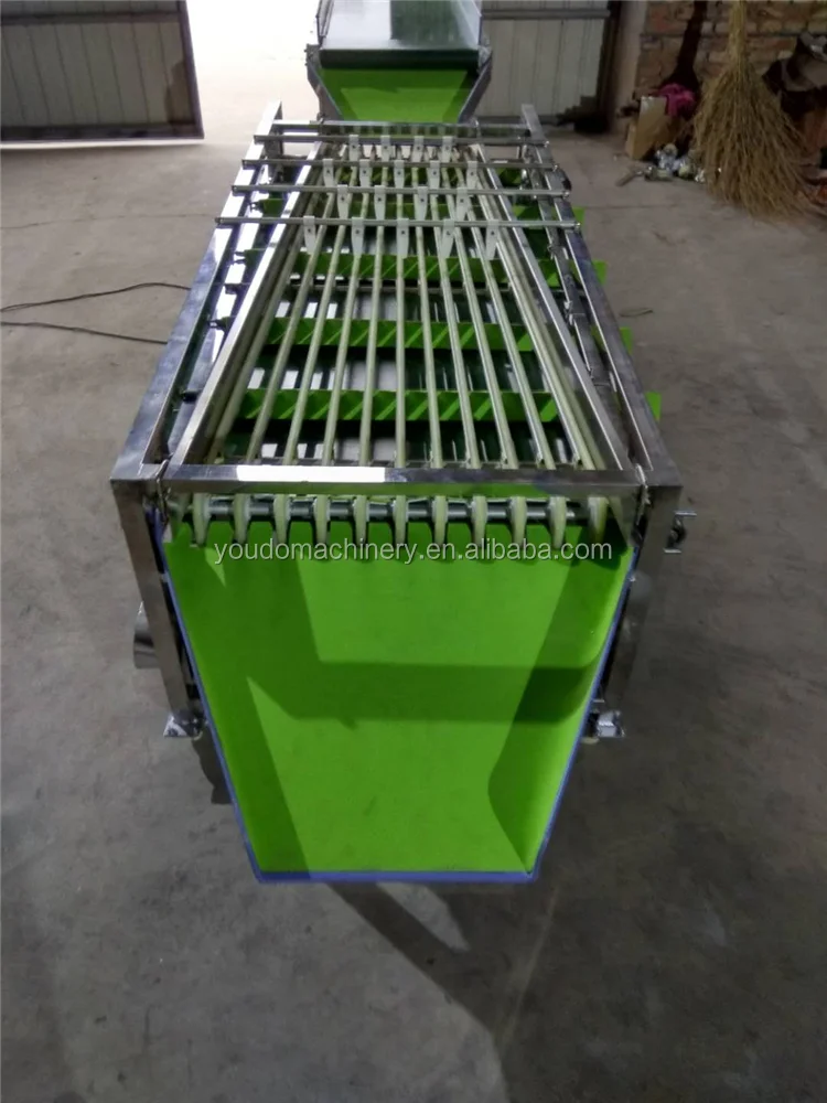 sorting machine (2).png