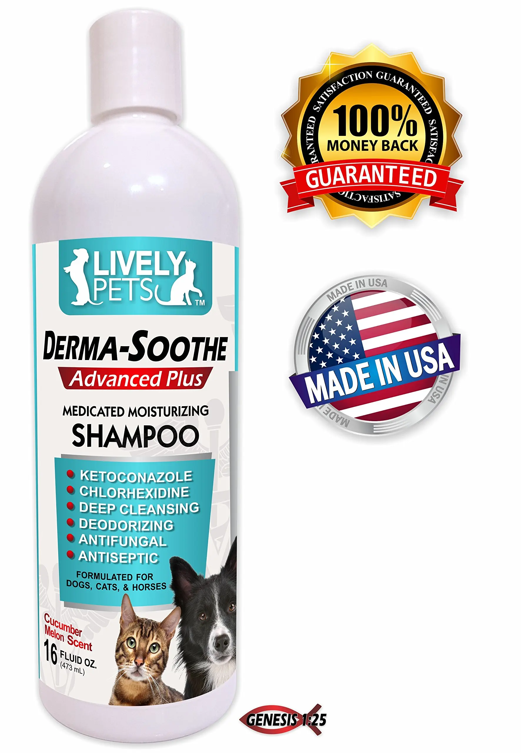 Buy Medicated Dog Shampoo for Skin Allergies Chlorhexidine 4 Shampoo