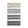 Lasting look full body ceramic exterior wall caesar stone tile