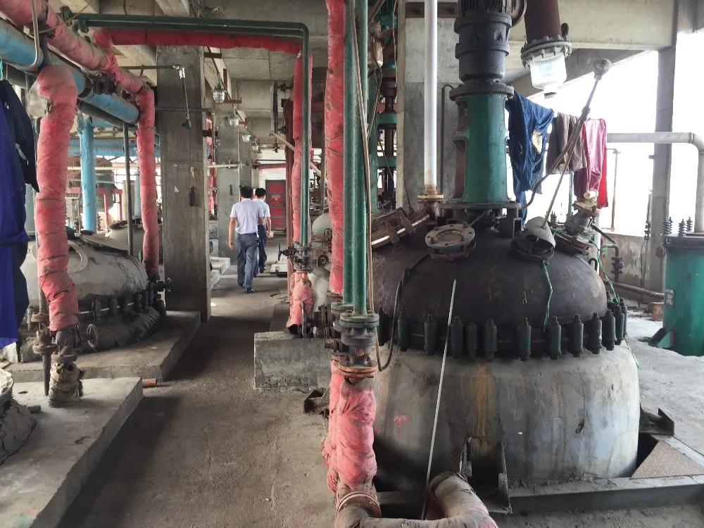 100% natural pancreatic enzymes / pancreatin