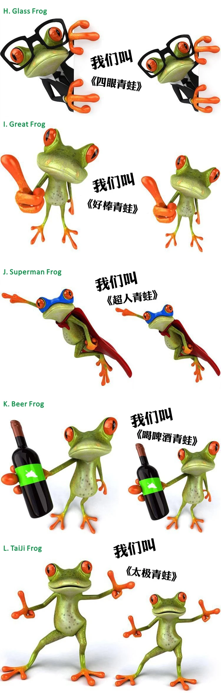 Frog-3.jpg