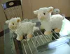Get well Bears Heated Sheep Lamb / Sheep Microwave heated teddy bear, Fantastic 'Hot waterless bottles'