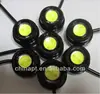 eagle of eye of led backup light for car