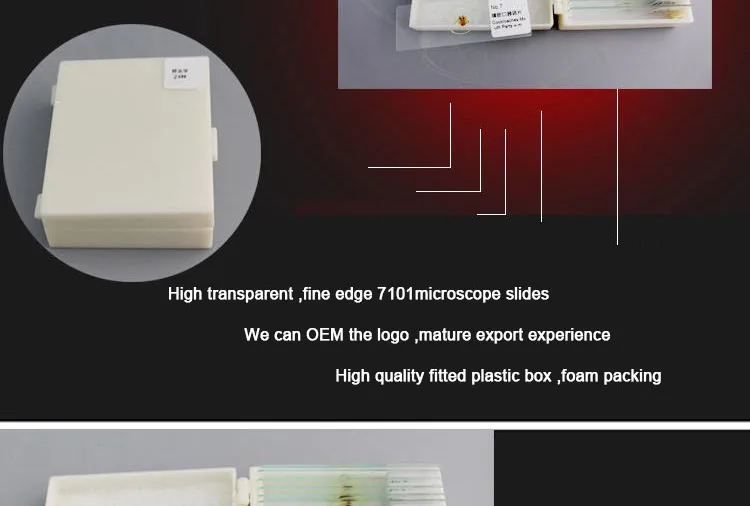 008 Entomology series microscope slides.jpg