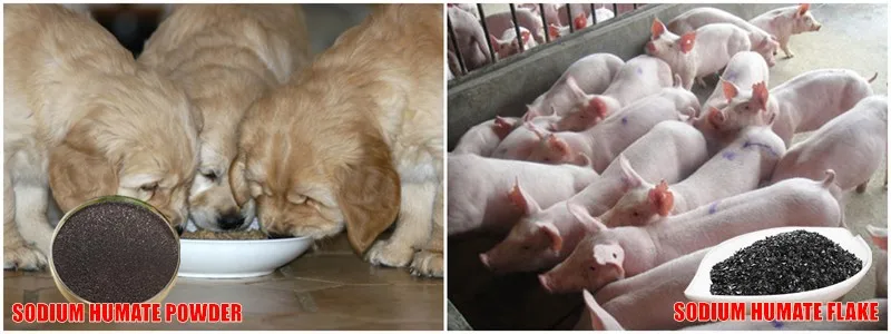 Fish Manure Fertilizer.jpg