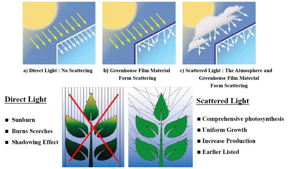 Agricultural Commercial Garden Use Greenhouse film for sale