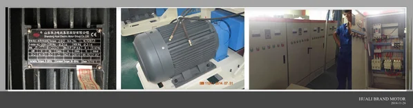 Wood Pellet Mill Italy Customer Liked