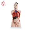 MODEL NO.XC-201cheap plastic 85cm human torso doll