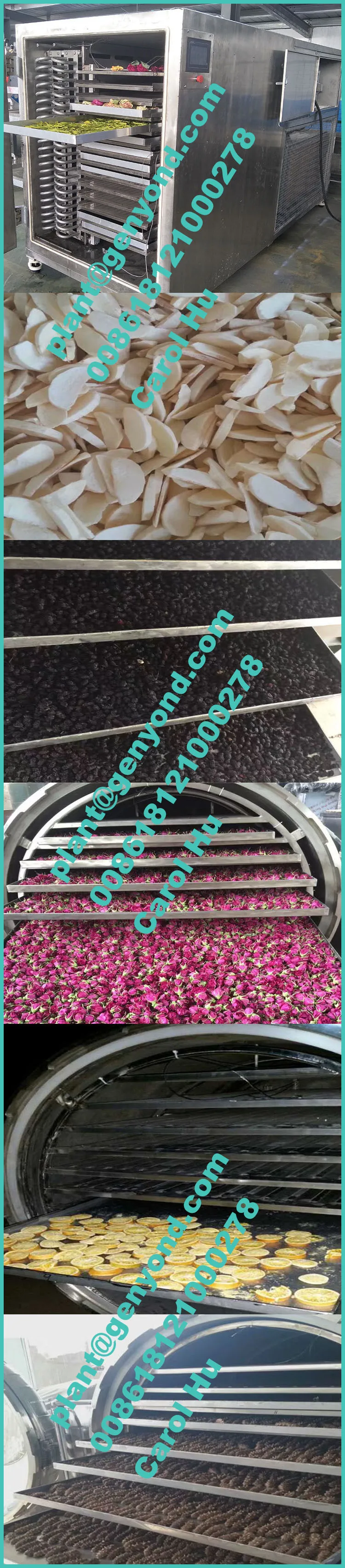 lyophilization machine