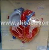 Human Heart Model