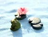 Moss micro simulation miniature landscape decoration furnishing articles new frog meat more dolls