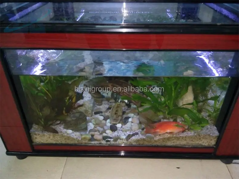 Bisini Gaya Modern Persegi Bentuk Akuarium Tangki Ikan Meja