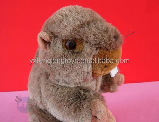 marmot plush