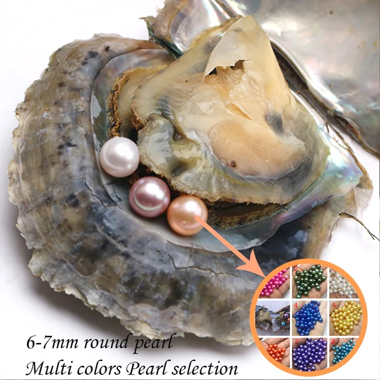 High Quality Hot Wholesale Saltwater Oysters 67mm Rainbow Colors