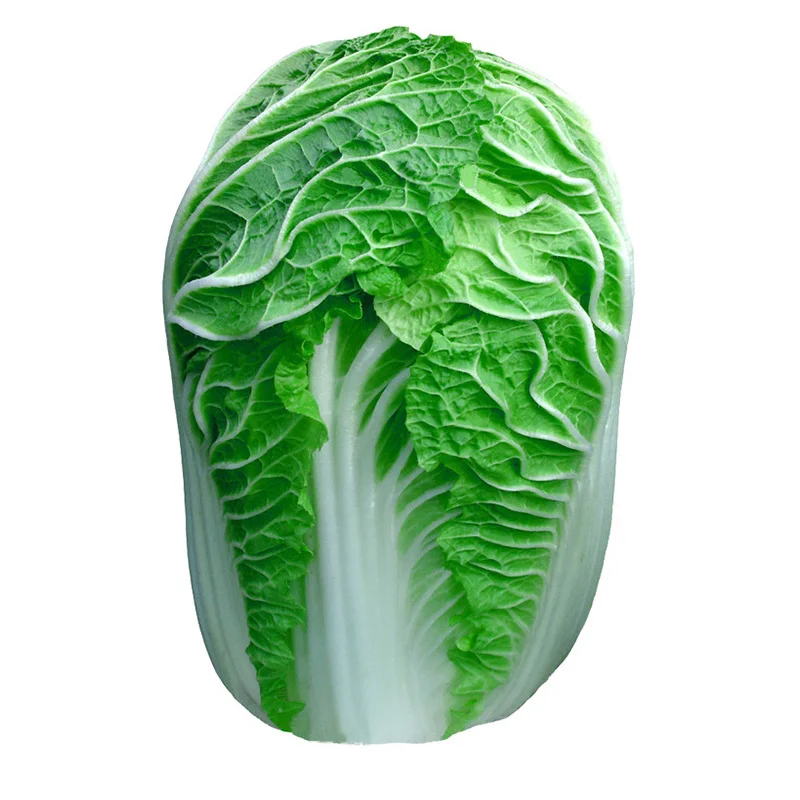 
2020 new crop fresh chinese celery cabbage 