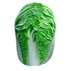 2019 new crop fresh chinese celery cabbage
